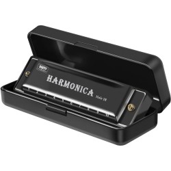 Harmonica Mouth Organ 10 Hole 