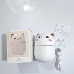 A301 Mini Humidifier 250ML