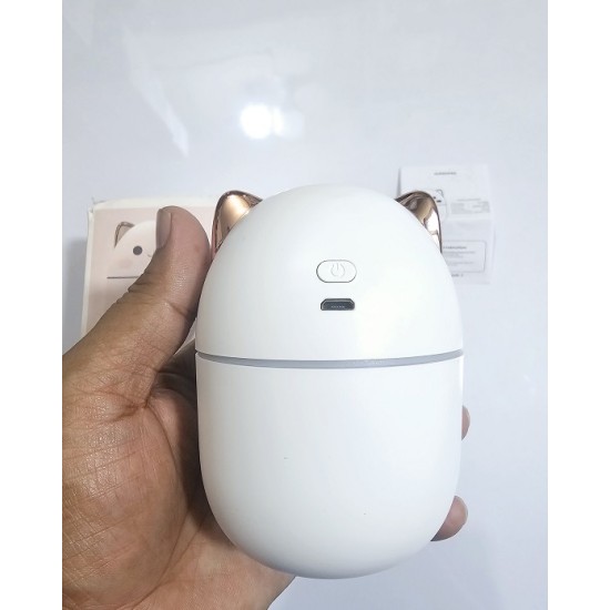 A301 Mini Humidifier 250ML