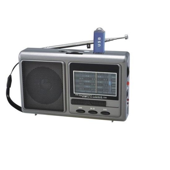 FEPE FP-1525U FM Radio With Multi Function Music Player AM/FM/SW