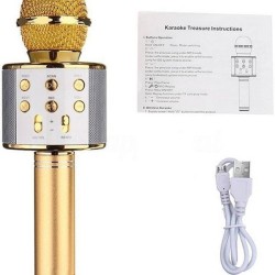 Wster WS858 Bluetooth Karaoke Microphone