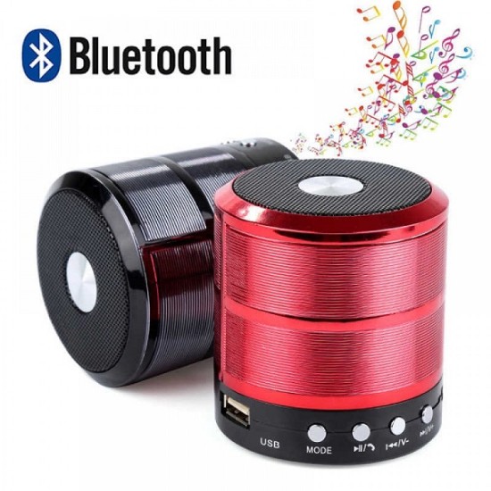 WS887 Mini Bluetooth Speaker