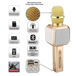 Wster YS69 Wireless Bluetooth Karaoke Microphone