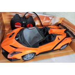 Remote Control RC Cars Simulation Champion Rechargeable