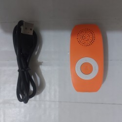 BD60 Mini MP3 Player With Loud Speaker 